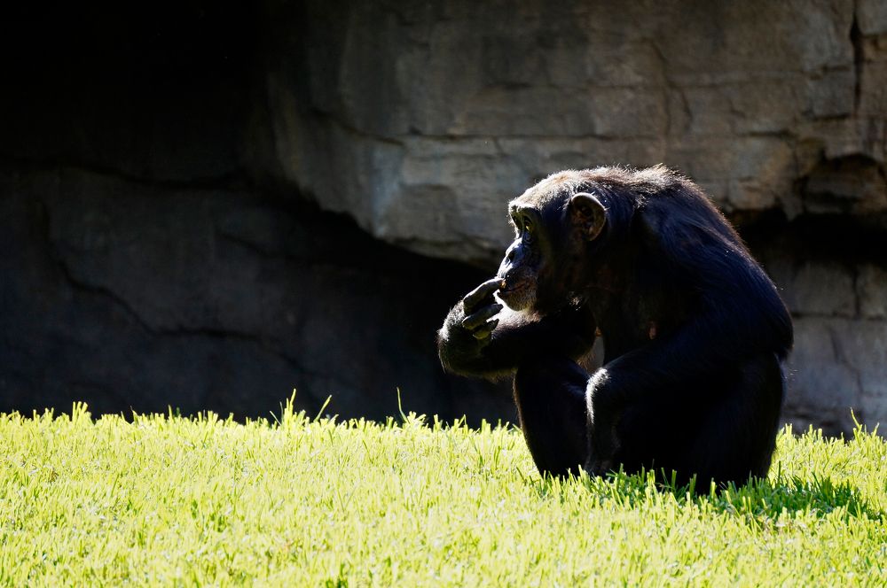 В раздумье.