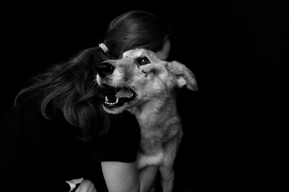 Photograph by Евгений Швец