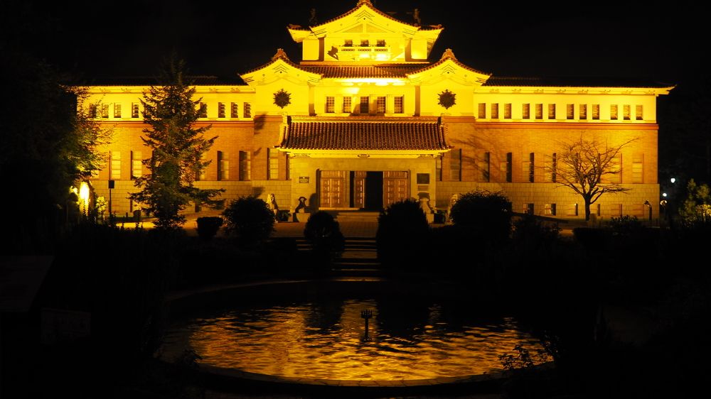 Ночной музей