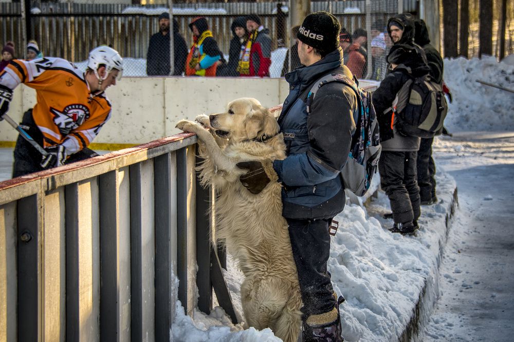 Болельщики