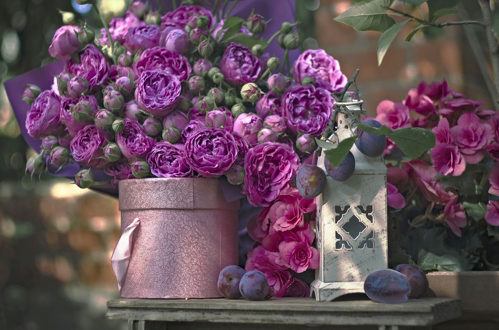 Цветочный сад - мой тихий дом