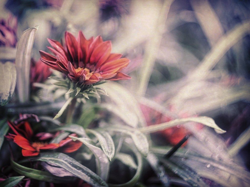 Photograph by Юлия