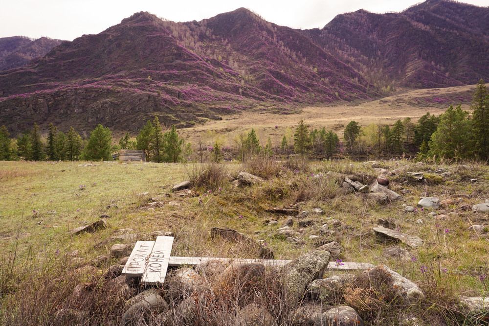 Кони сбежали