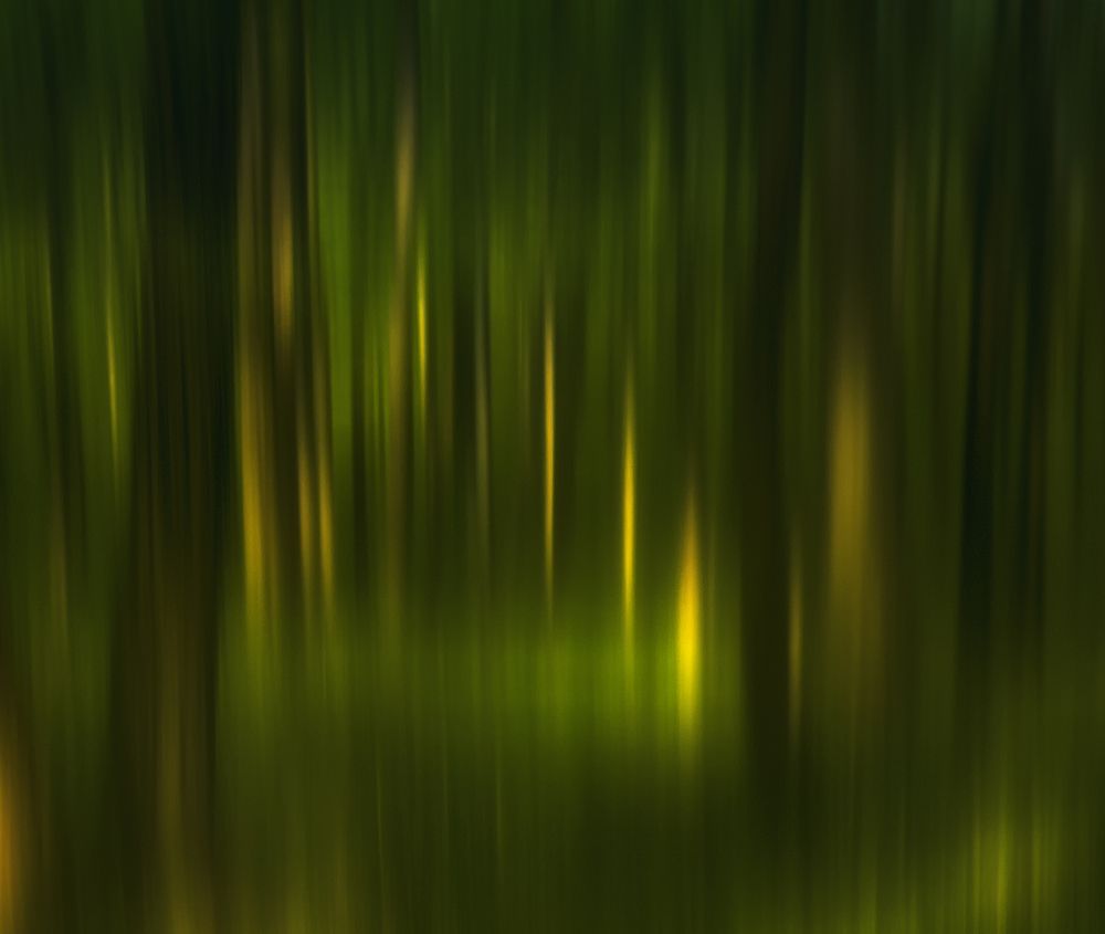 Солнечные блики