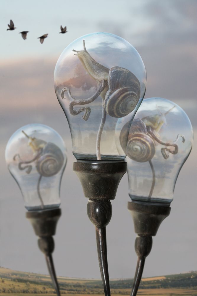 Заветная мечта