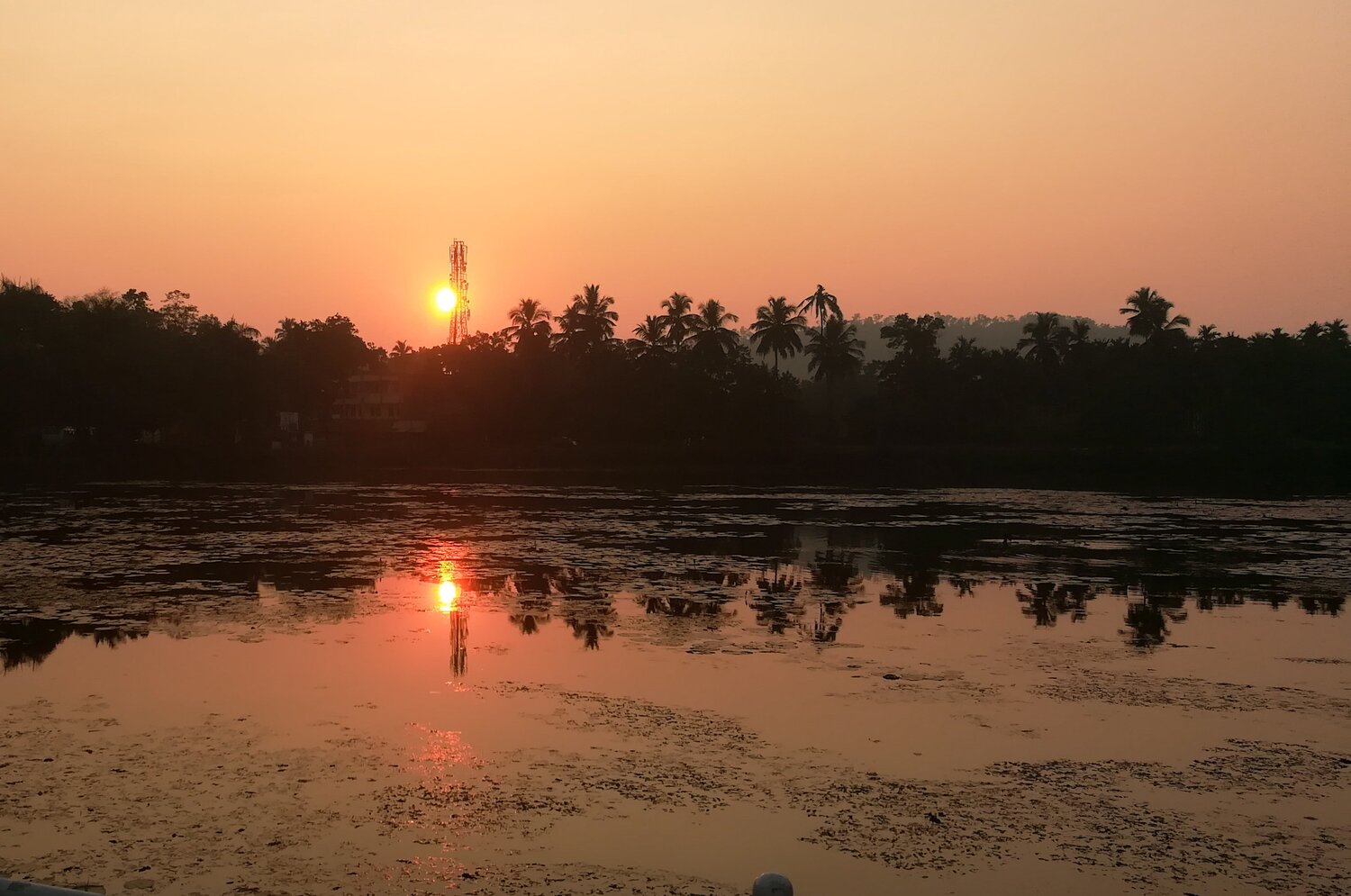 Sun and the Tower