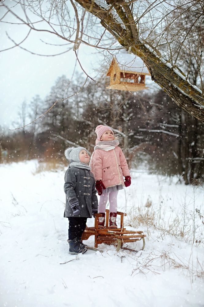 В ожидании птиц