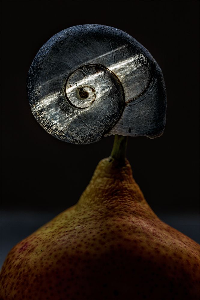 Photograph by Stas Che