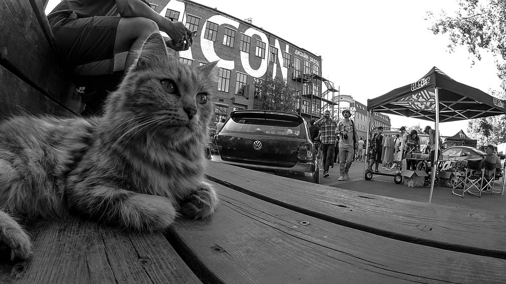 Photograph by Дмитрий Шартон