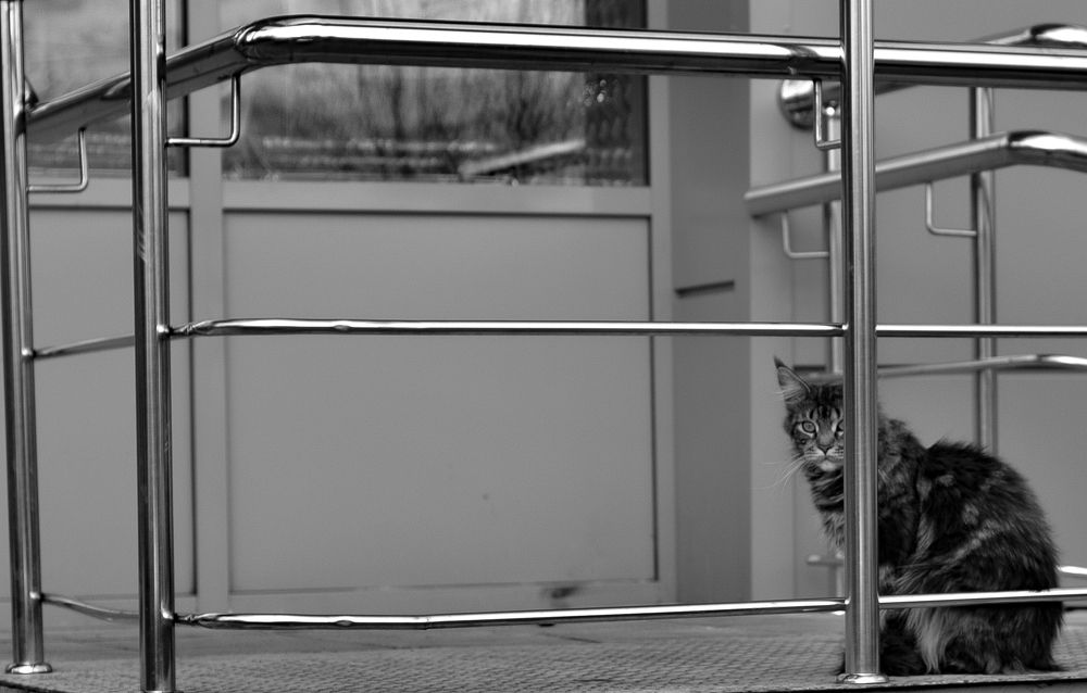 Photograph by Дмитрий Шартон