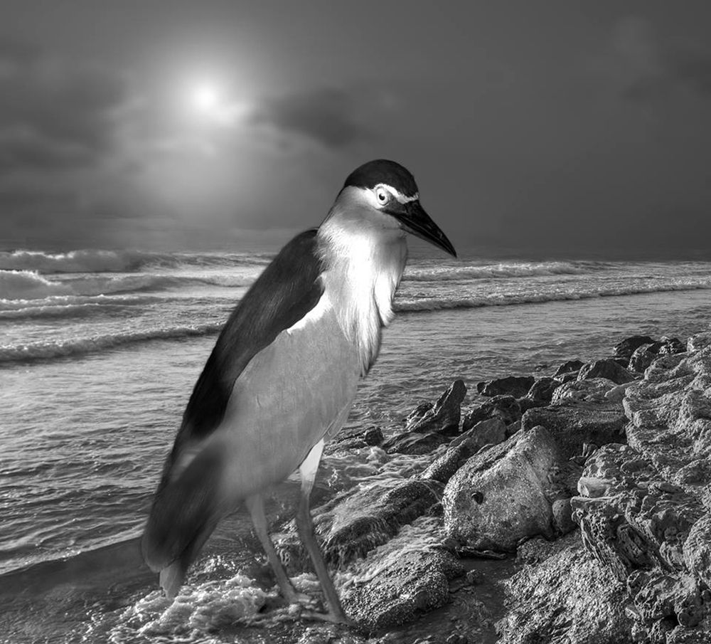 надзиратель