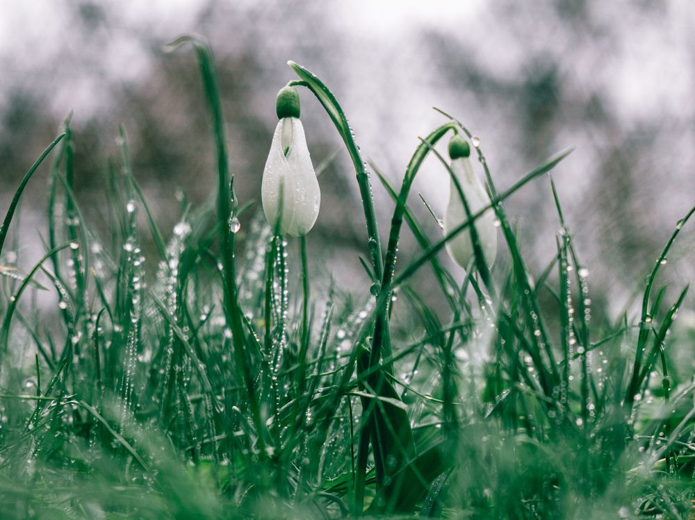 Photograph by Юлия Шумляева