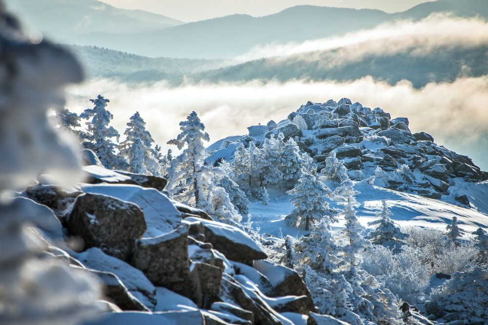 Зимняя сказка