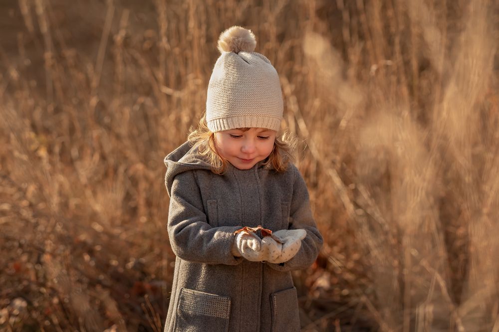 Листочек в инее