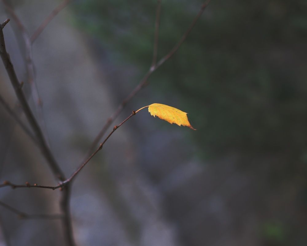 Одиночество