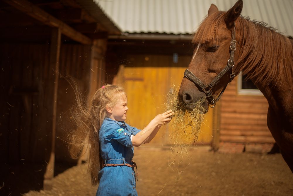 Photograph by Нина Дубровина