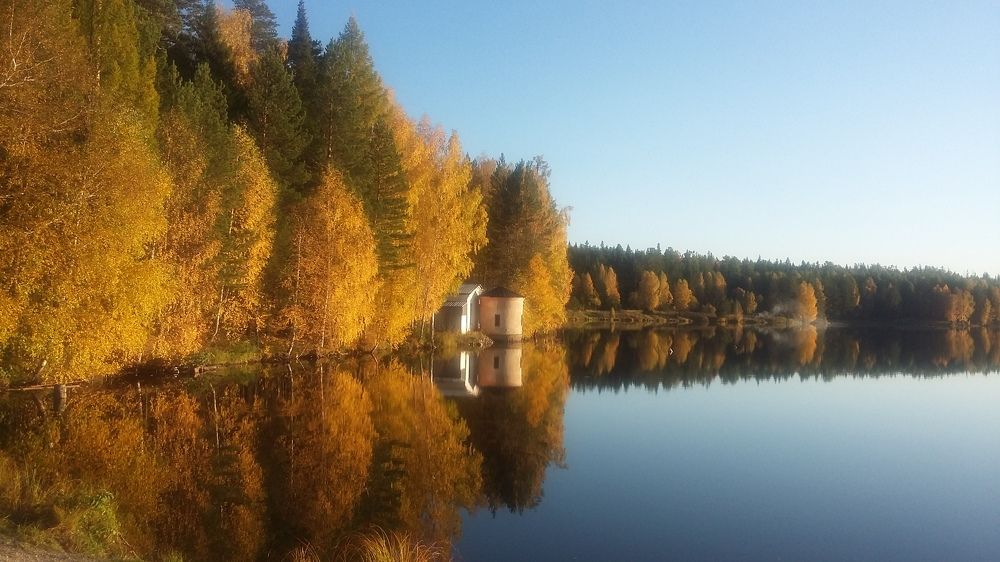 Золотая осень