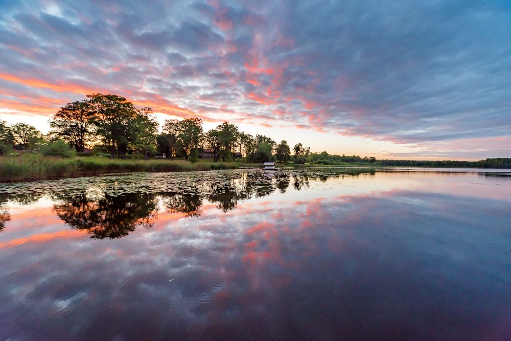 Когда небо упало в пруд