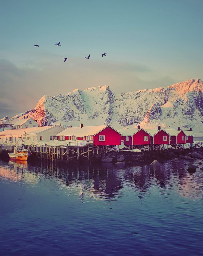 Lofoten sunrise