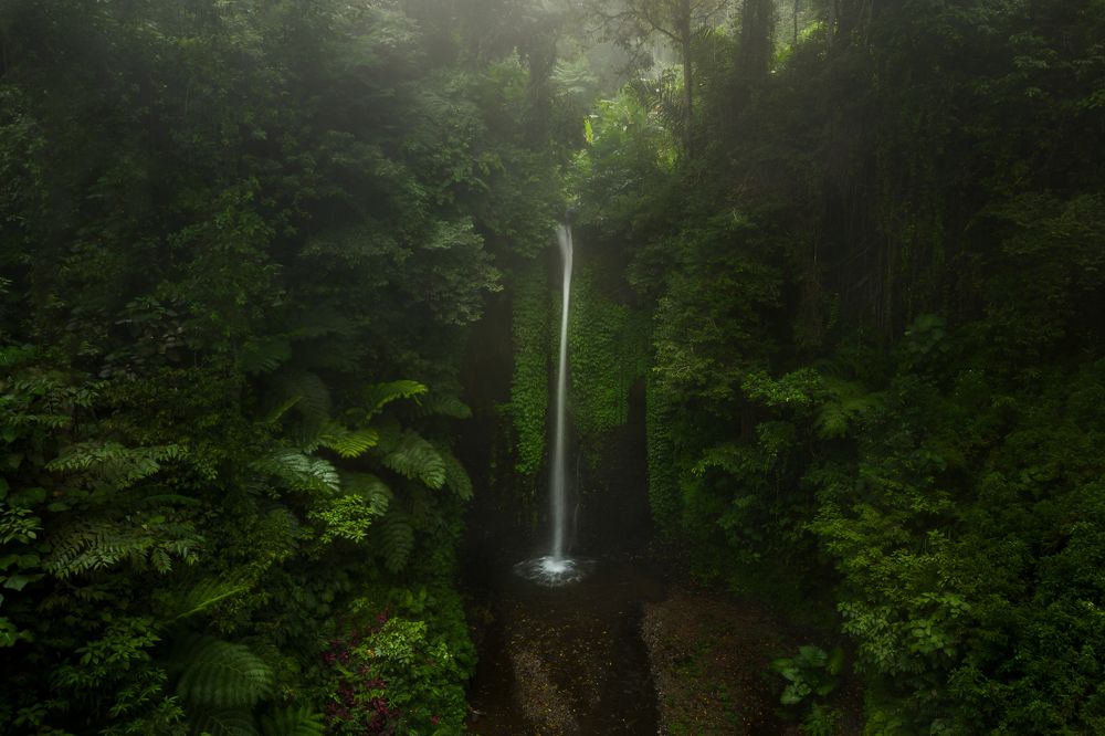 Mysterious falls in the mist