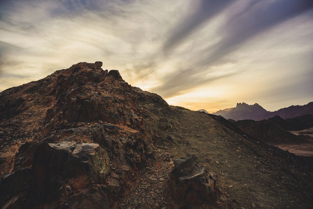 Зимний закат в пустыне