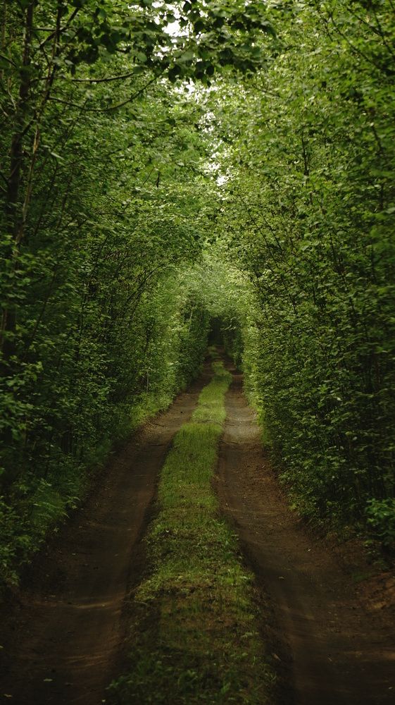 гномья тропа