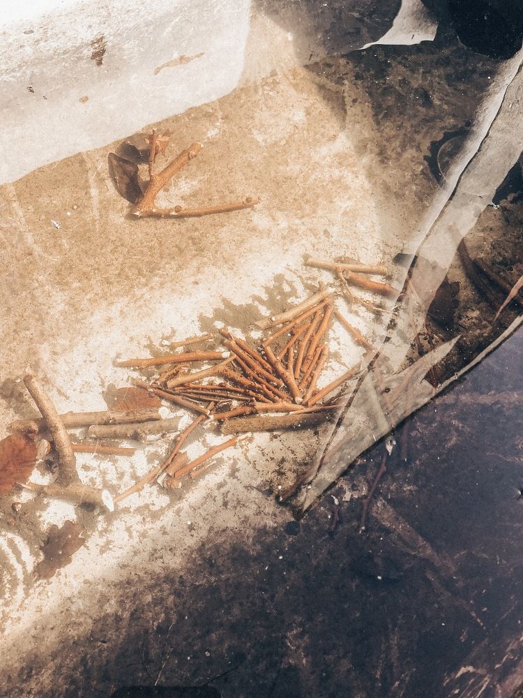 Жизнь в ванной