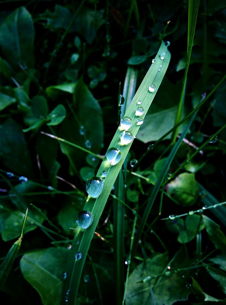 Кристальные бусины