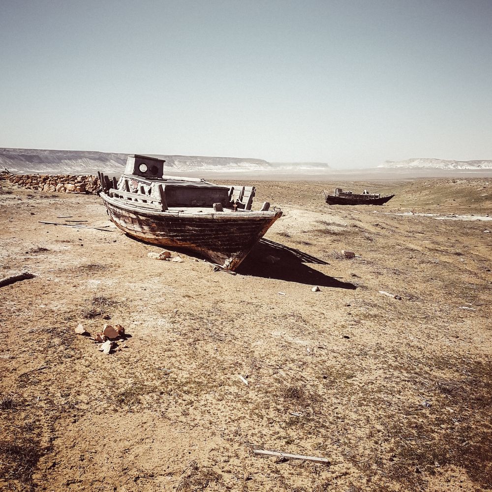 Корабли пустыни