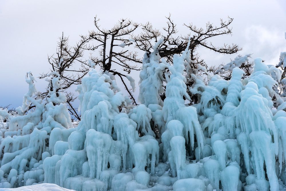 Ледяные узоры