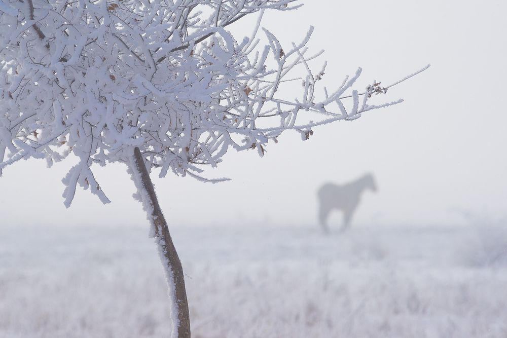 Про одиночество