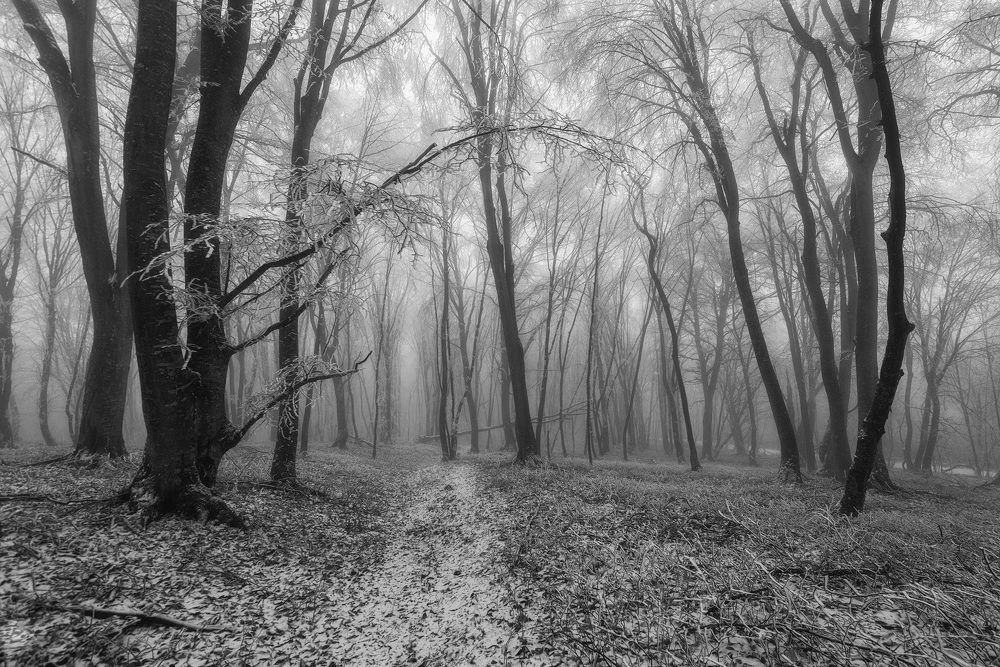 Фотография автора Шевченко Юрий