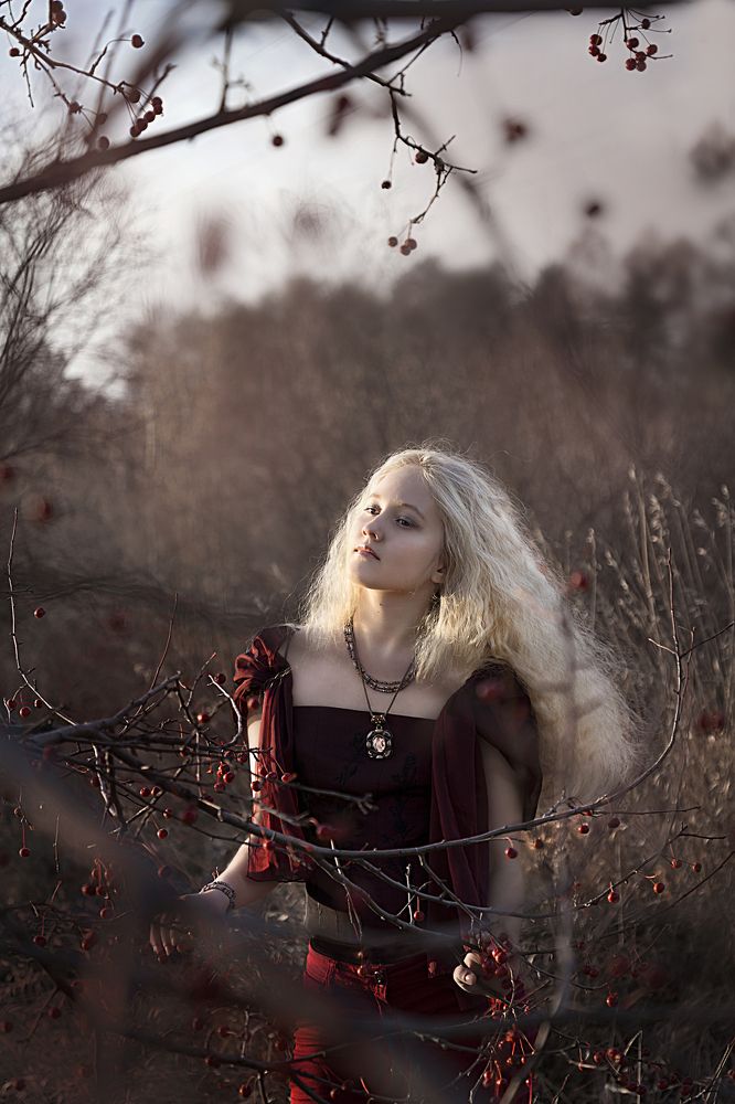 Волчья ягода