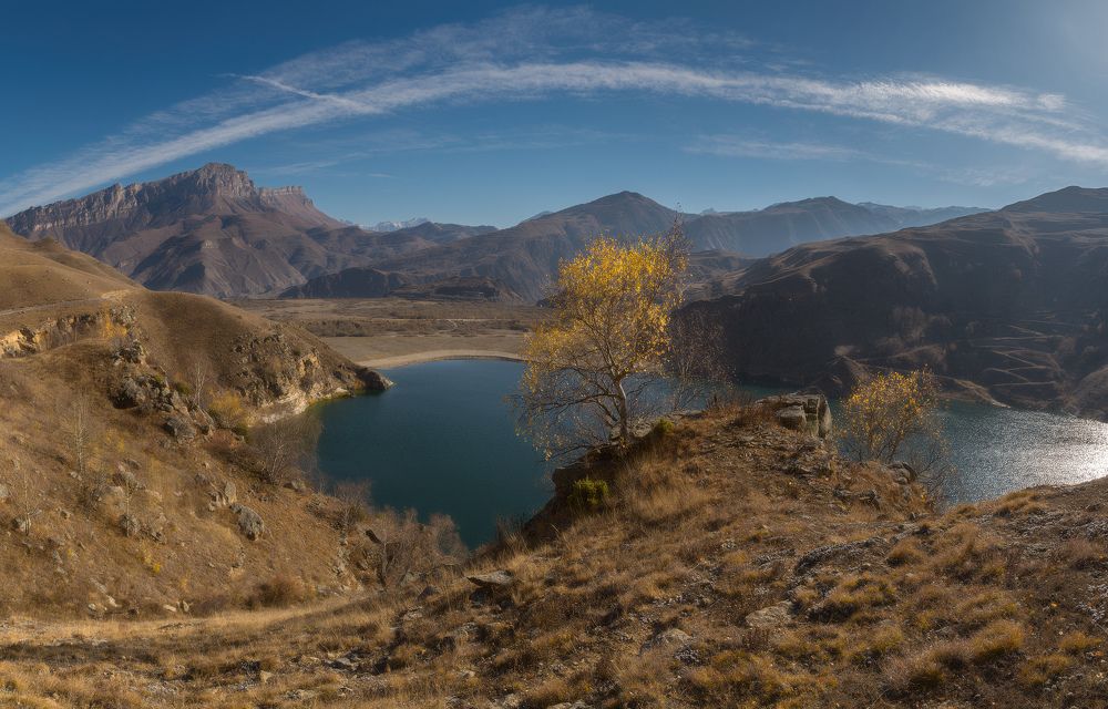 Фотография автора Шевченко Юрий