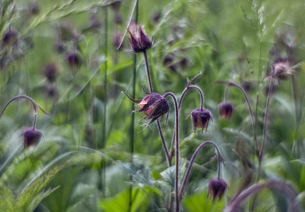 Photograph by Ольга Белова