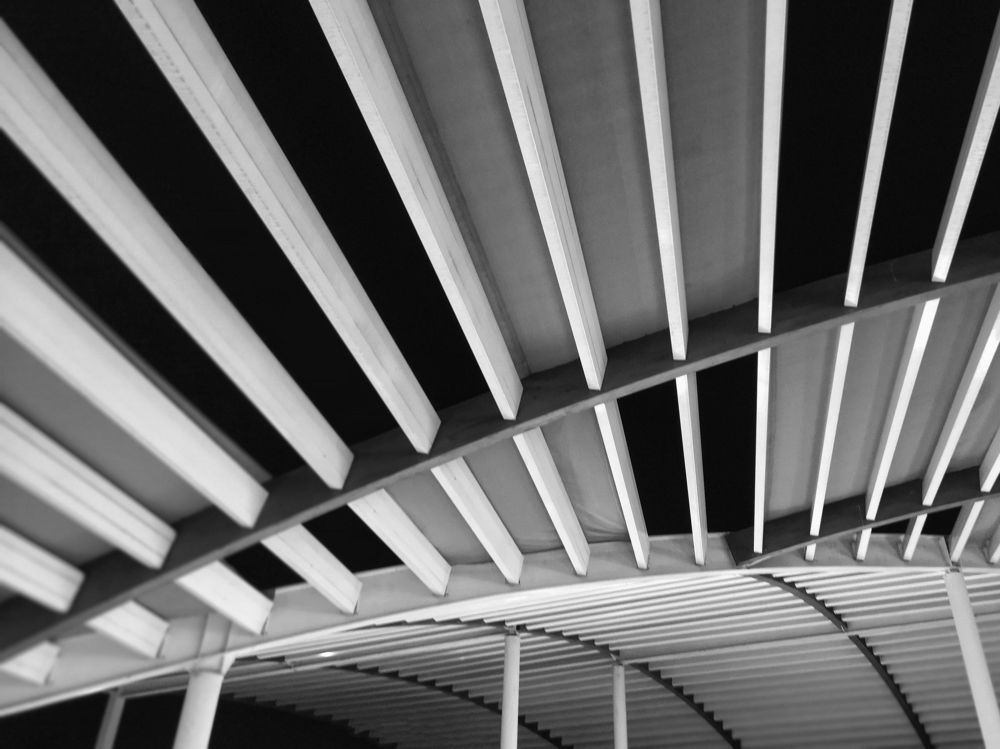 Photograph by Semion Ribinik