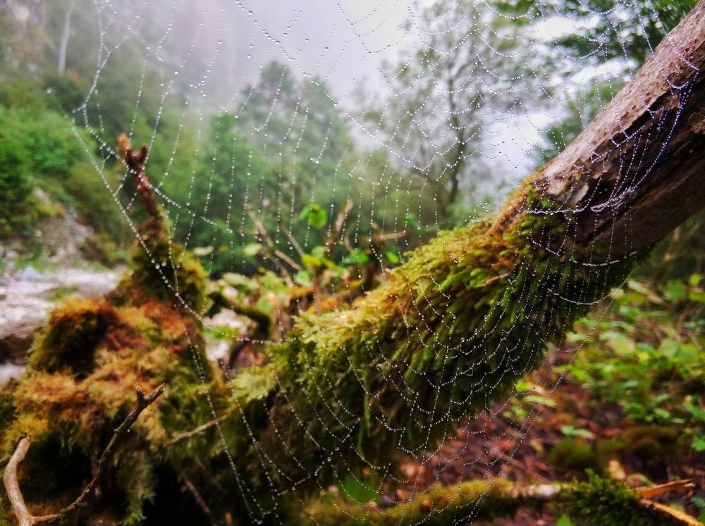 Photograph by Наталья Сонникова