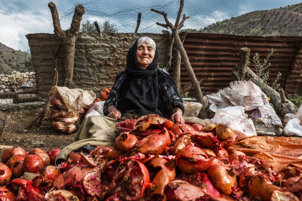 Pomegranate Celebration