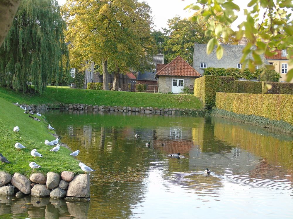 Райский Сад ...