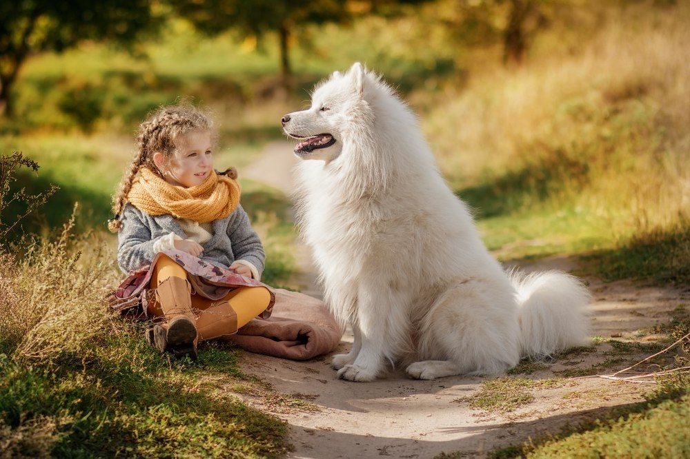 Photograph by Ольга Король