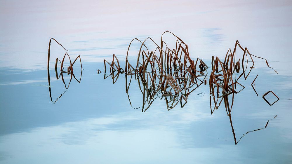 Графика на воде