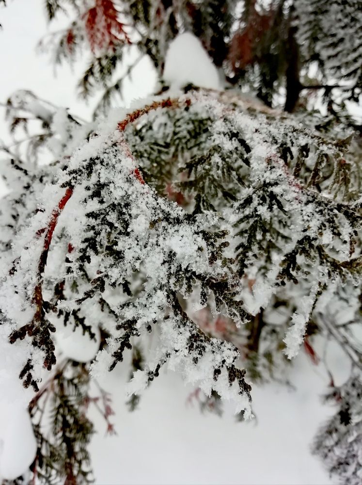 Photograph by Анастасия Мушенок