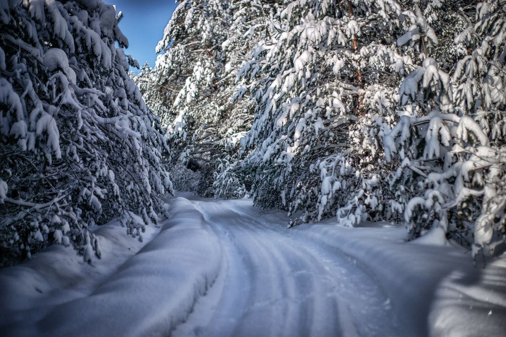 Photograph by Евгения Сидоренко