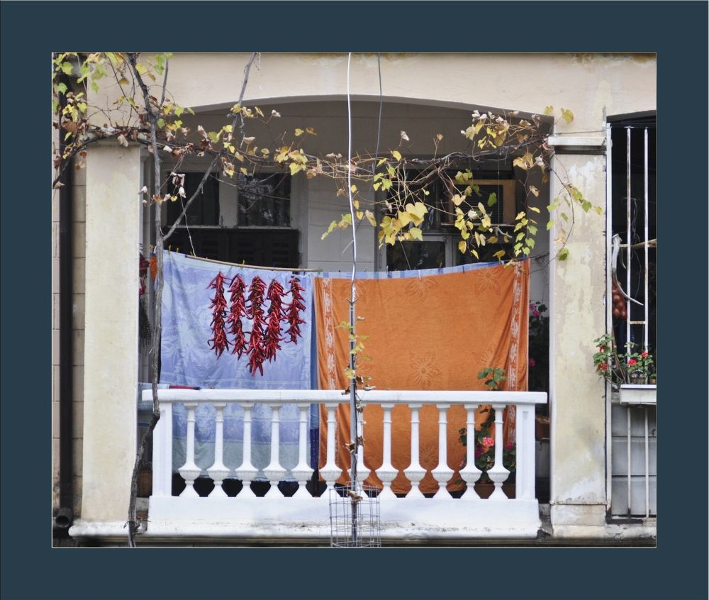 Photograph by Шубина Галина