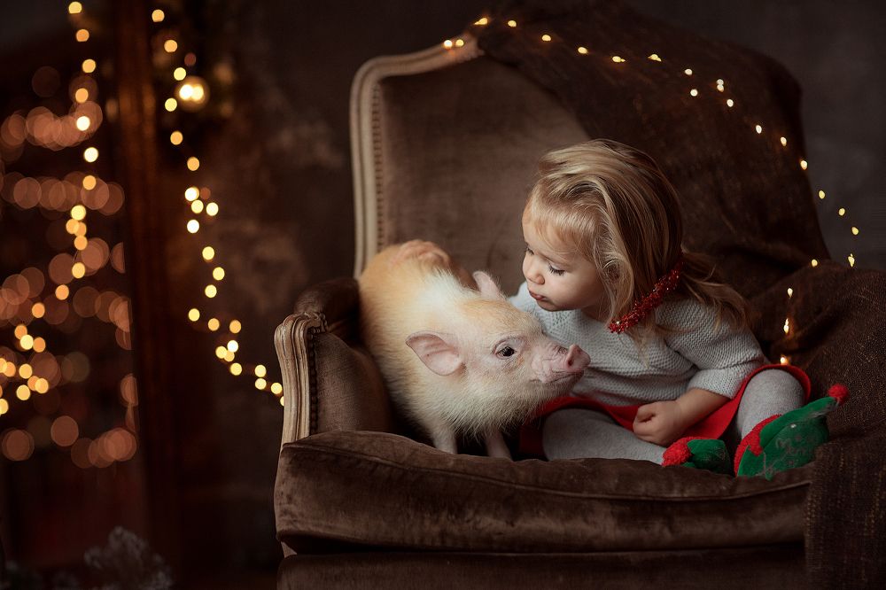 Злата и Жужу