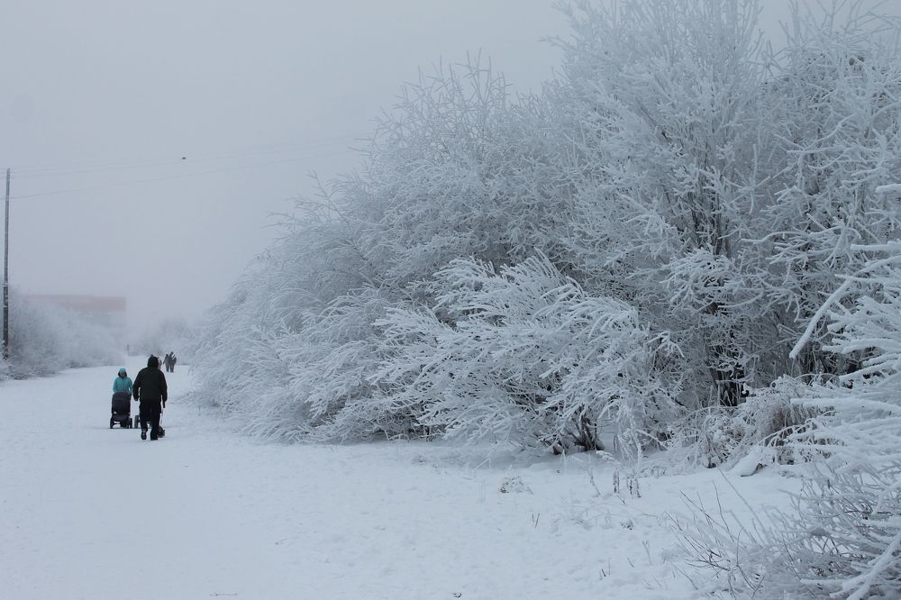 Морозный ноябрьский день