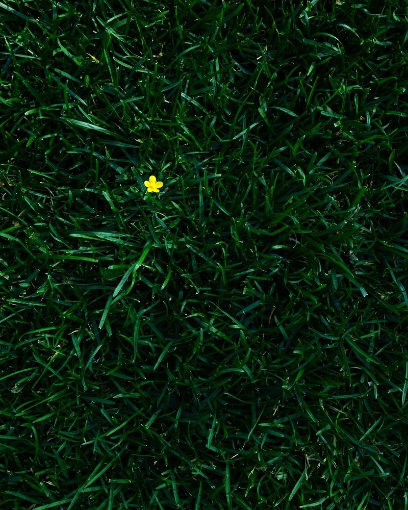 Mr. Yellow / Мистер Желтый