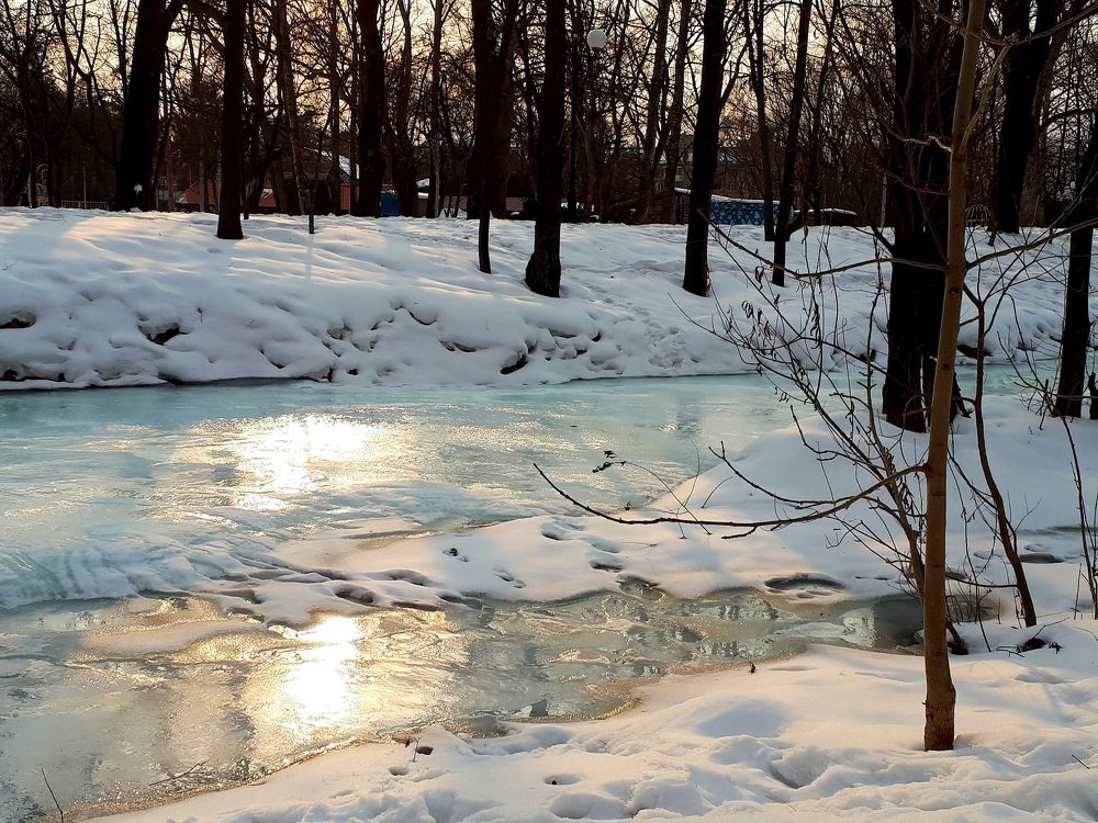 Photograph by Фролова Диляра