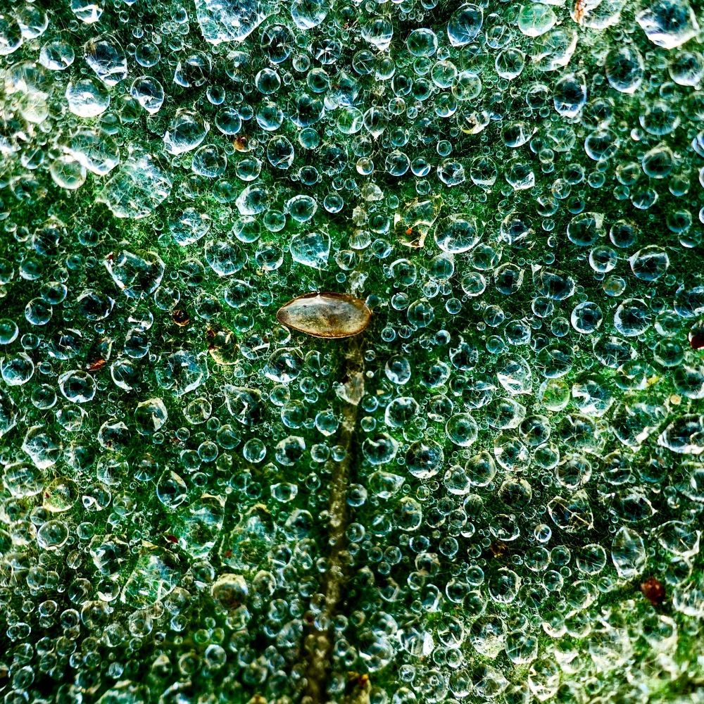 Photograph by Дмитрий Батагов