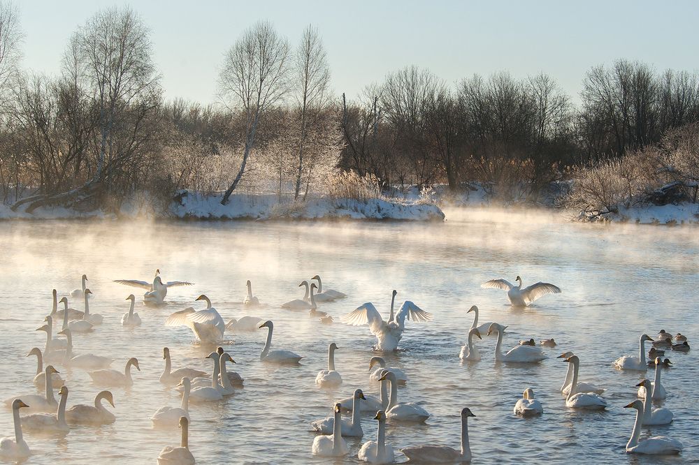 Зимние танцы!